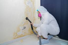 Best Mold Odor Removal Services  in Burbank, IL